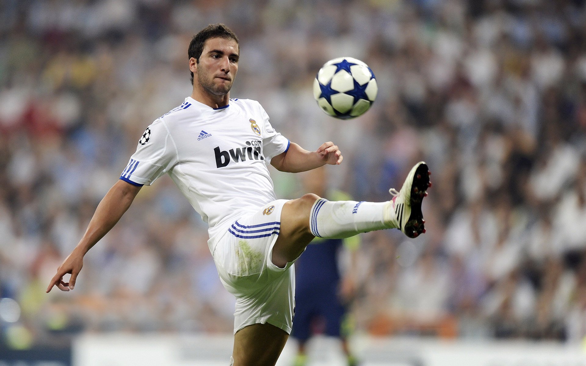 绝杀之魂，勒沃库森奇迹与布鲁诺的比利时征服记